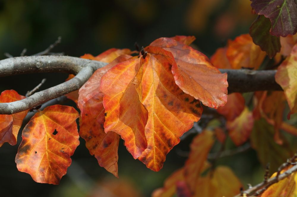 Photograph by Сергей Ножнин