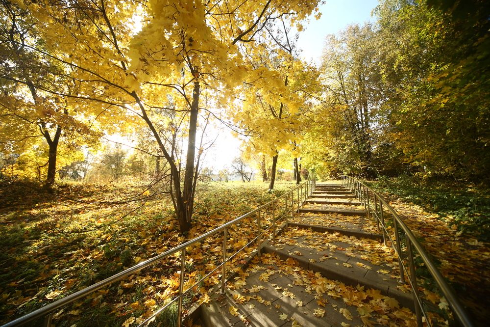 Летом солнце в небе, осенью - на земле