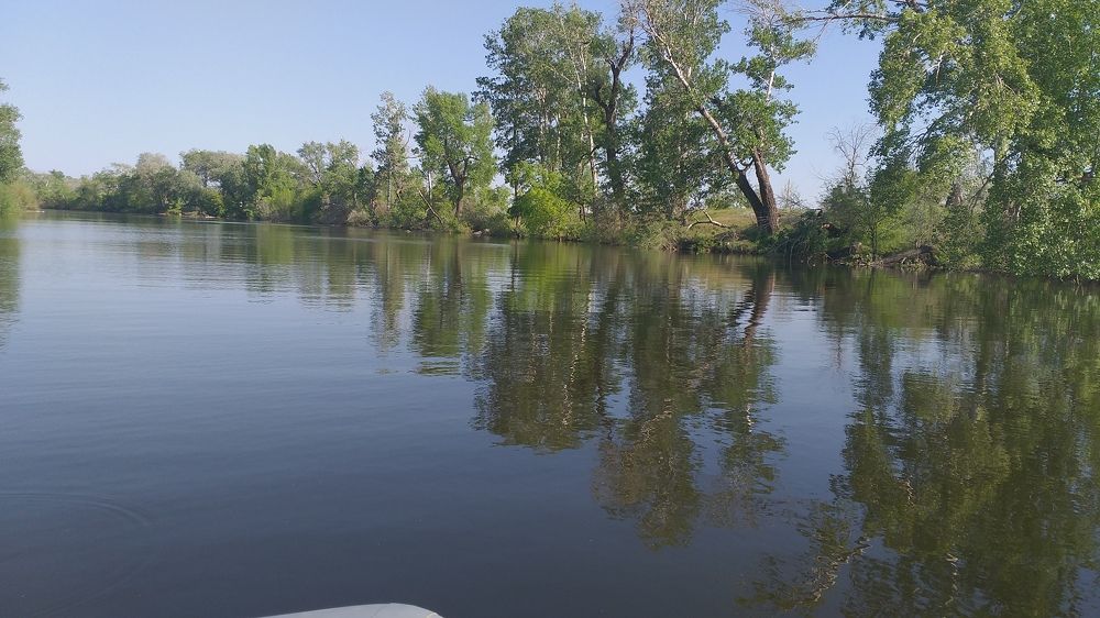 Photograph by Нина Романюк