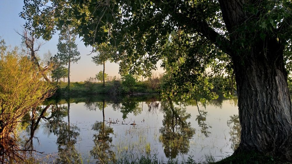 Зеркальная гладь