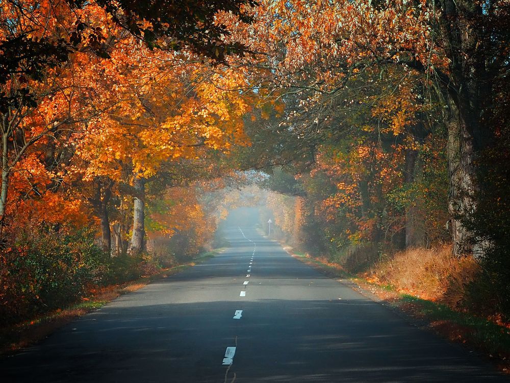 Photograph by Adrian Eperjessy