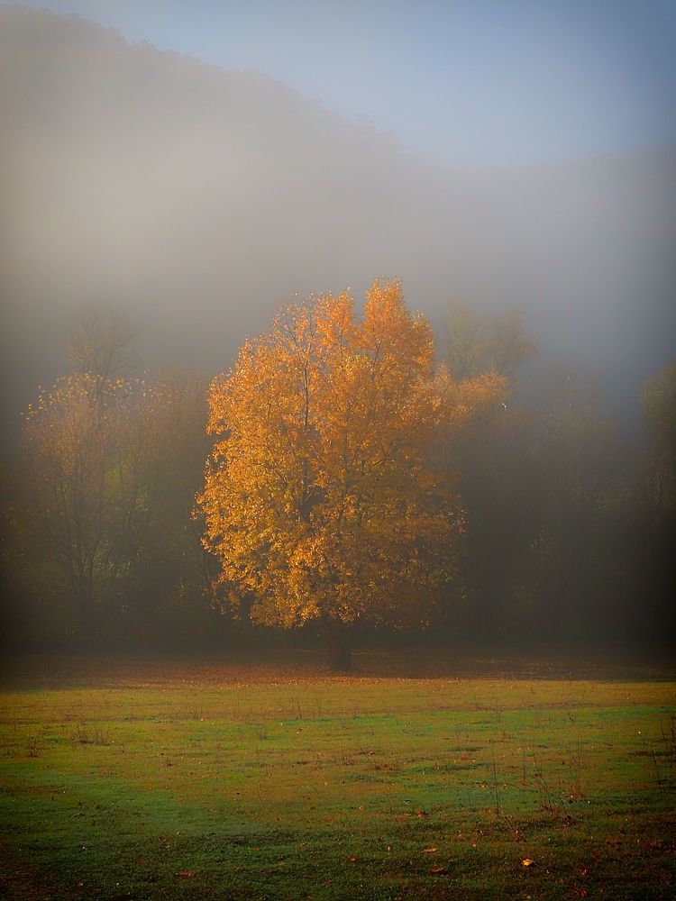 Photograph by Adrian Eperjessy