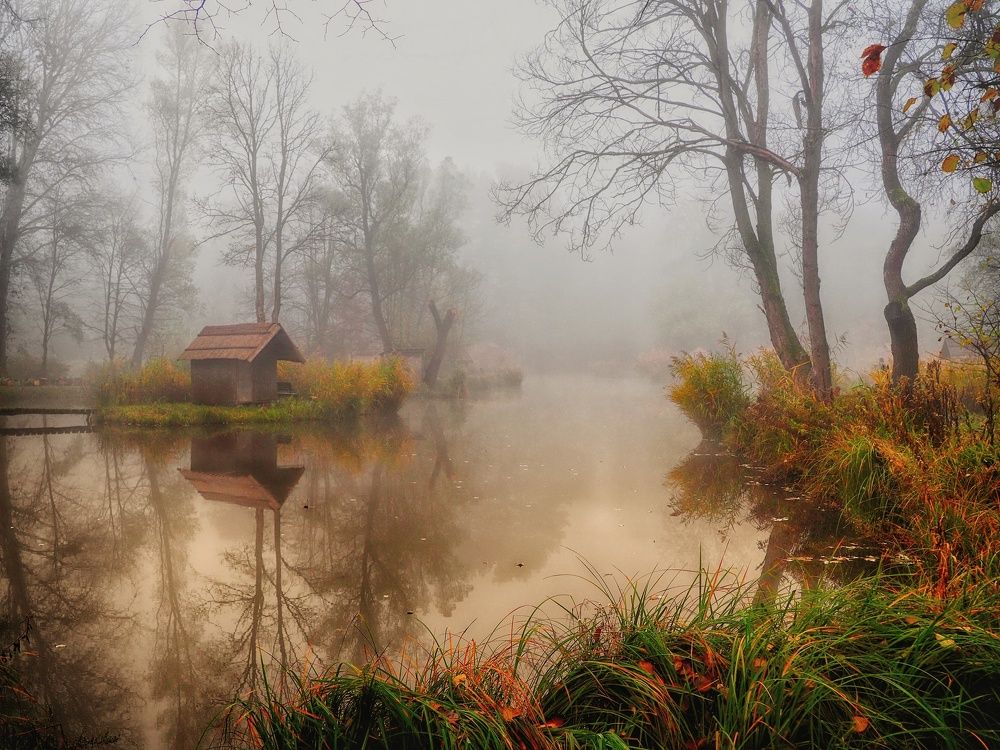 Photograph by Adrian Eperjessy