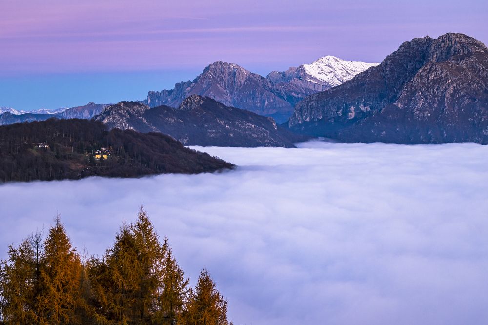 Photograph by ATTILA SZABO