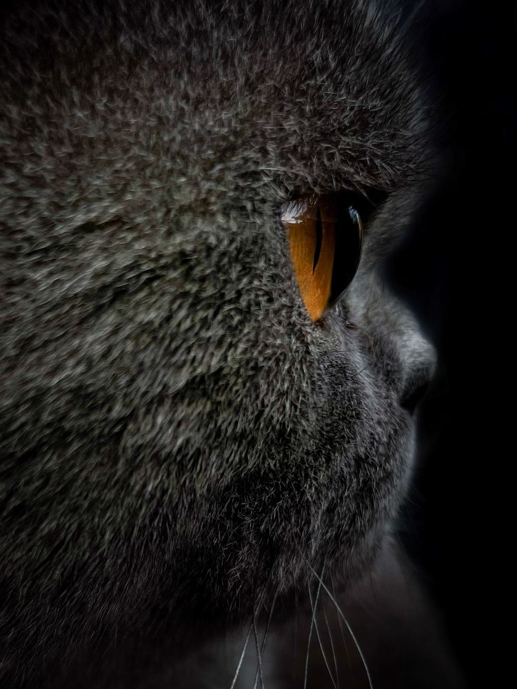 Photograph by Евгения Голубова