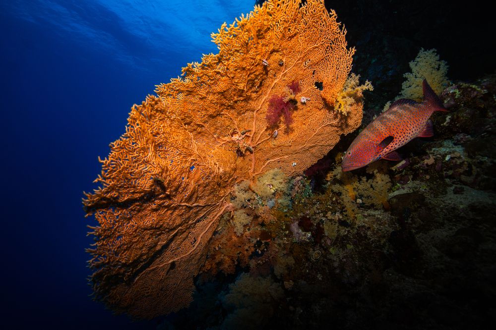 Photograph by Sergey Zaytsev