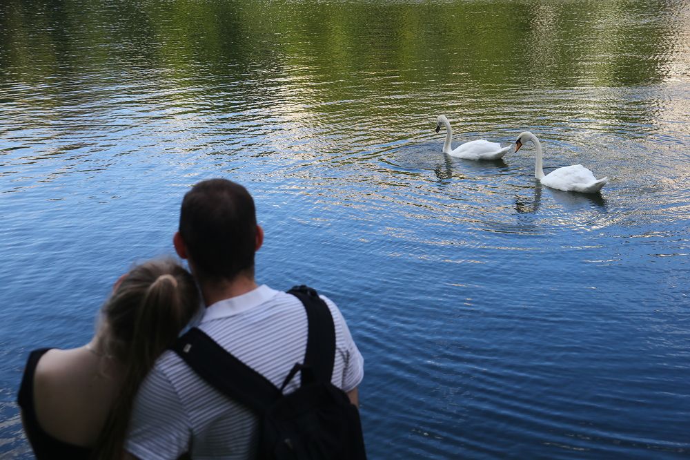 Photograph by Сергей Ведяшкин