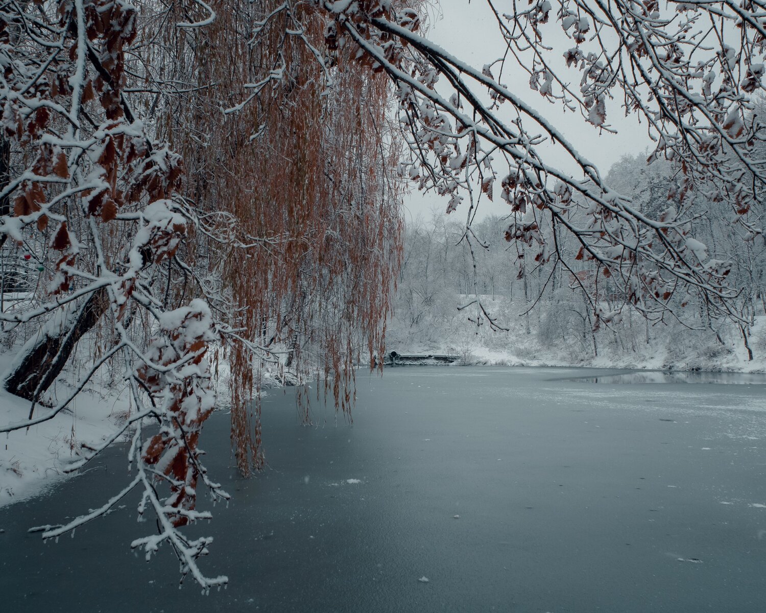 Photo #6776238