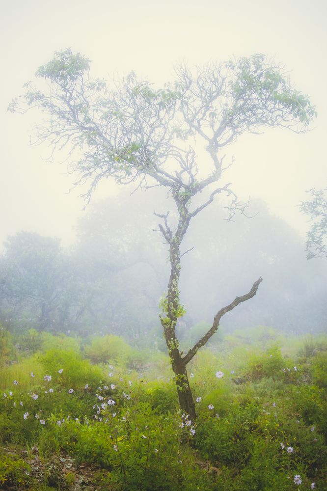 Photograph by hugo armando beltran sojo