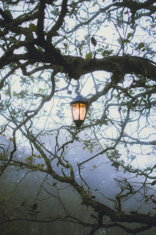 Photograph by hugo armando beltran sojo