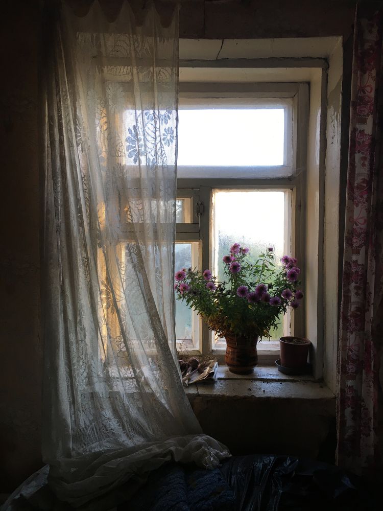 утро в старом доме