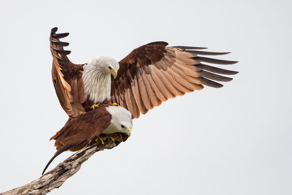 Photograph by Gimantha Perera