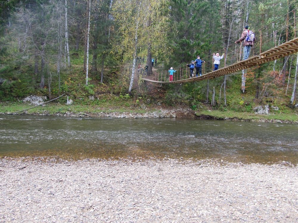 навесной мост в природном парке