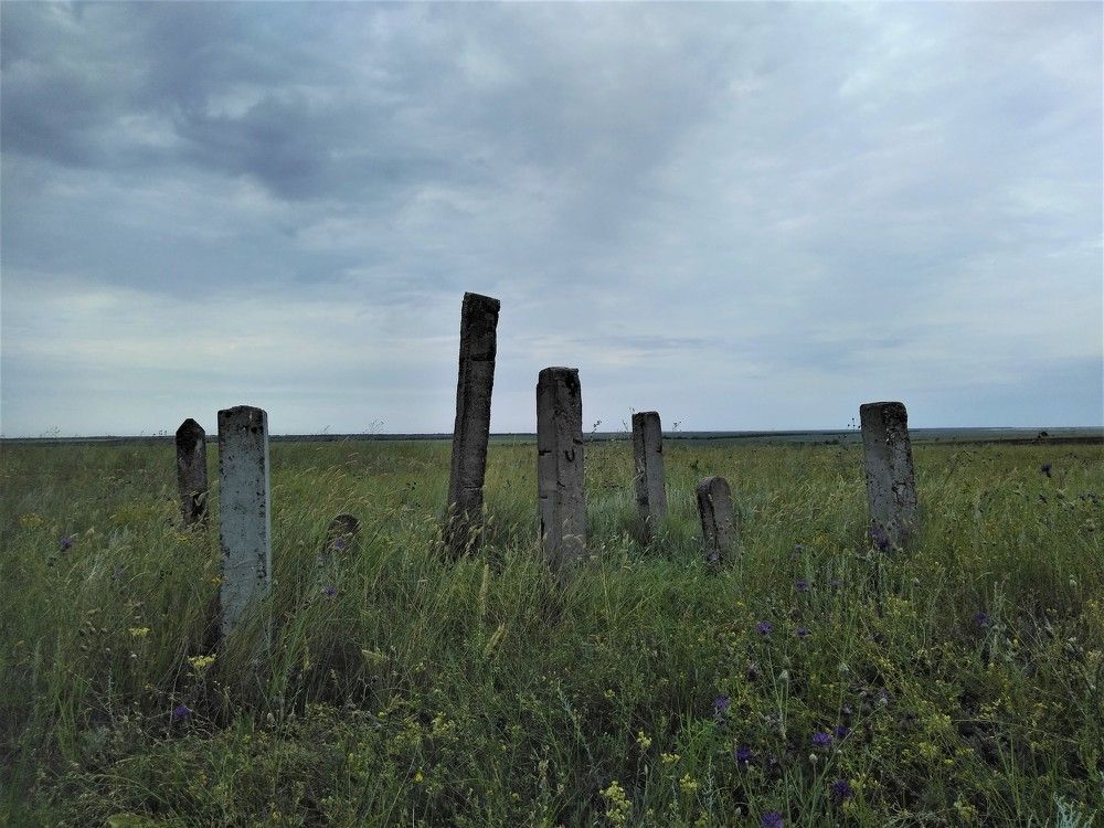 Photograph by SAFRON