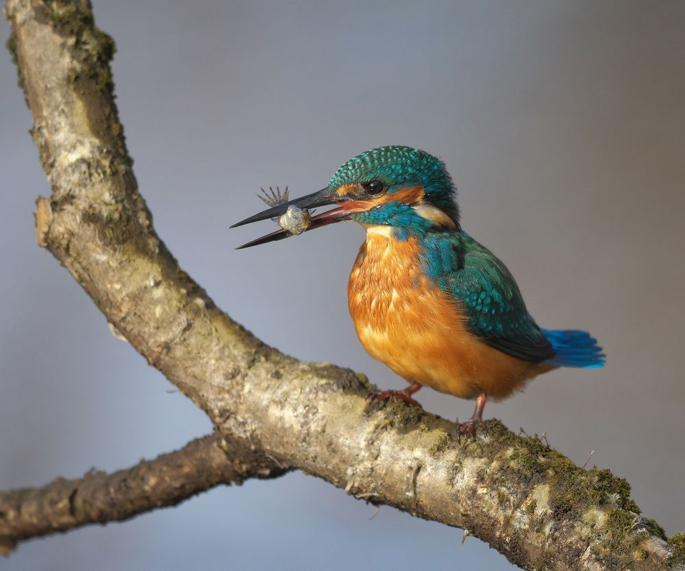 Photograph by Олег Есиков