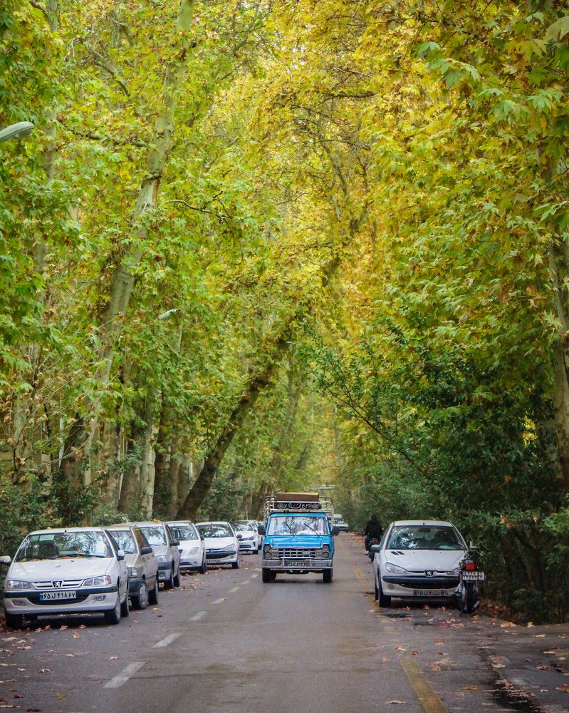 Photograph by safoura asghari