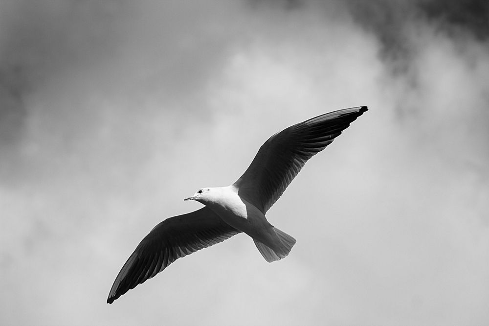 Photograph by Elena Khalizova