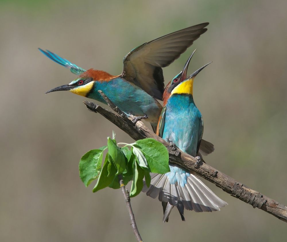 Photograph by Олег Есиков