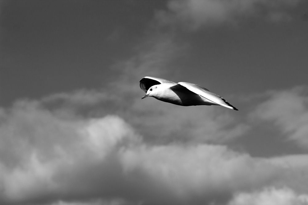 Photograph by Elena Khalizova