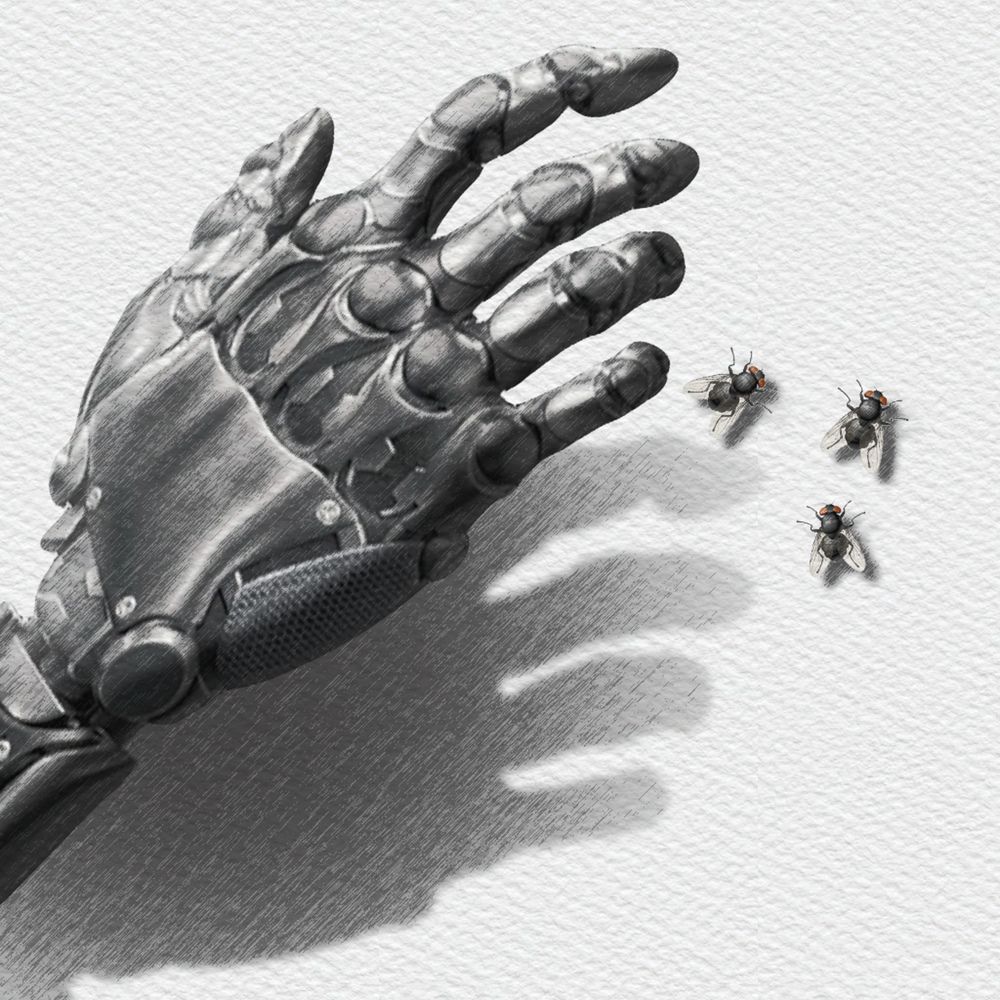 Photograph by said-art