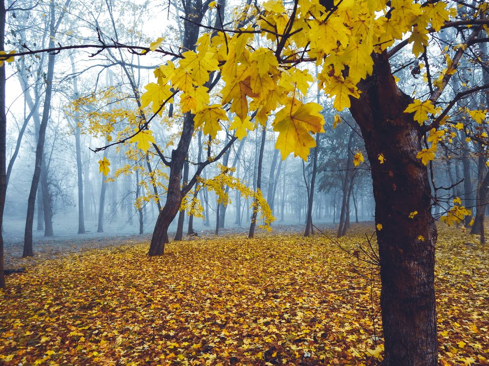 Photograph by Татьяна Слободчикова