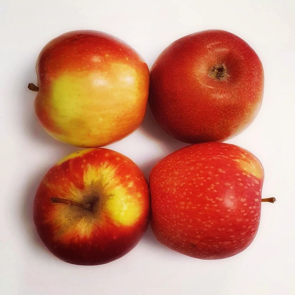 Photograph by Chraibi Hicham