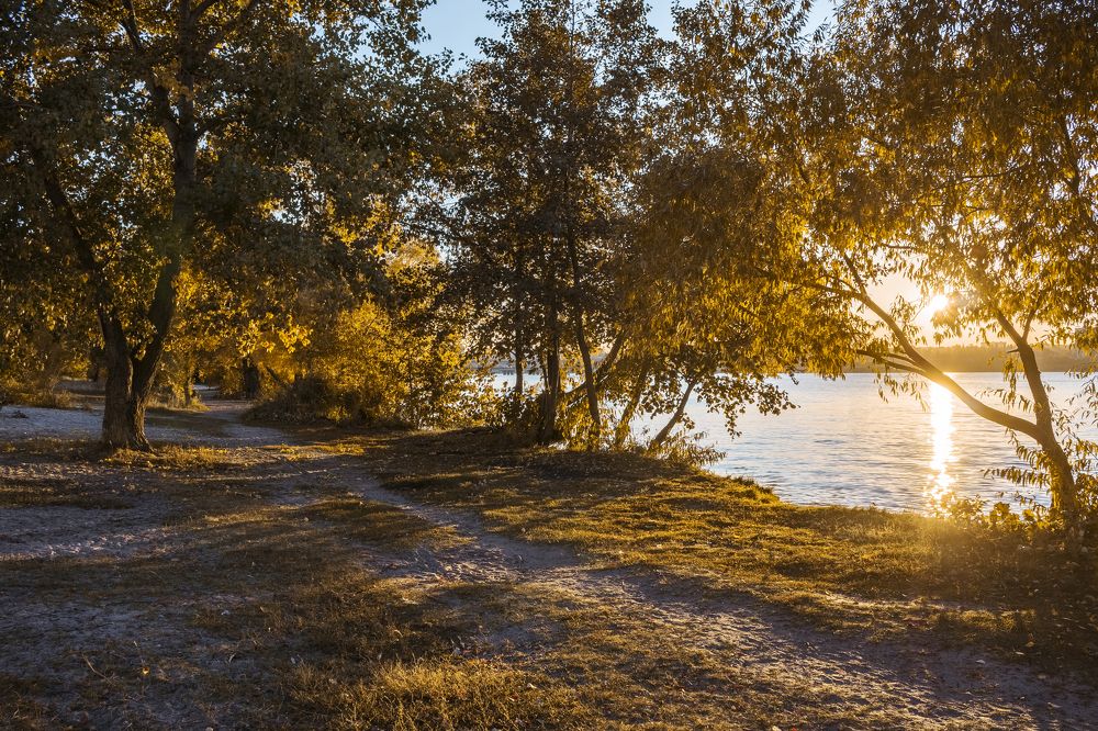 Photograph by Александр Мещеряков