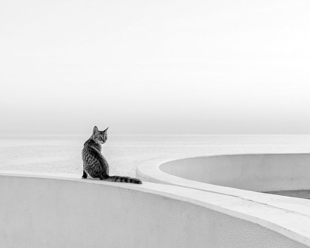 Photograph by Safdar Bin abbas