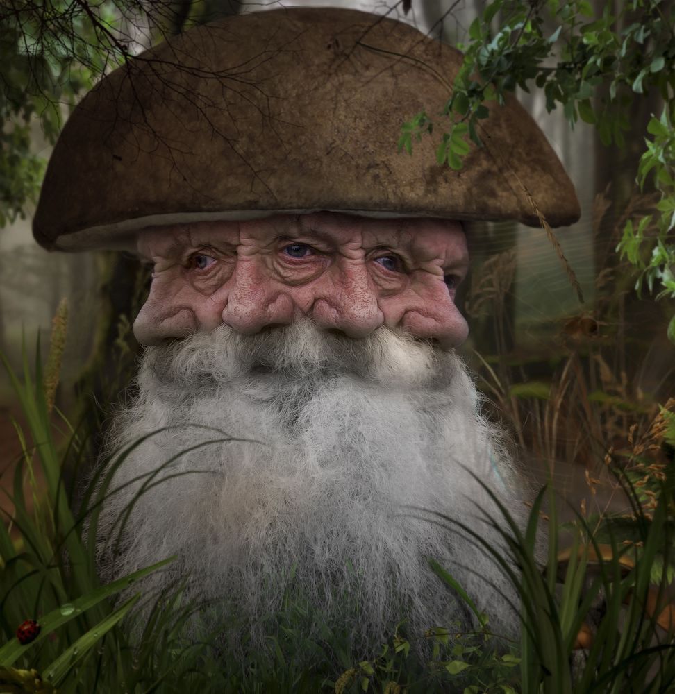 Дед боровик