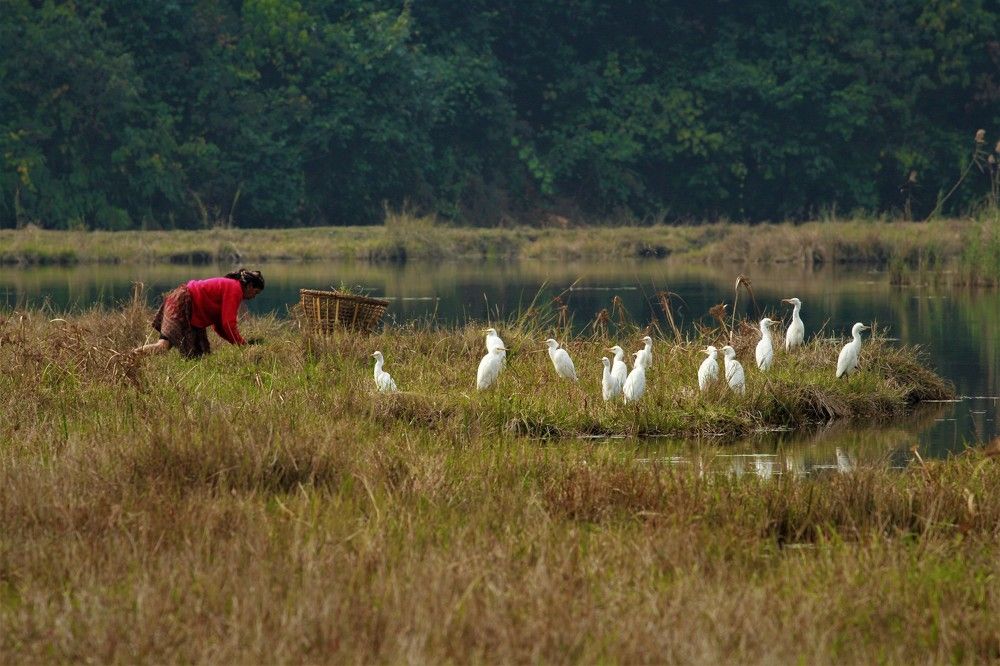 Photograph by Rajan Adhikari