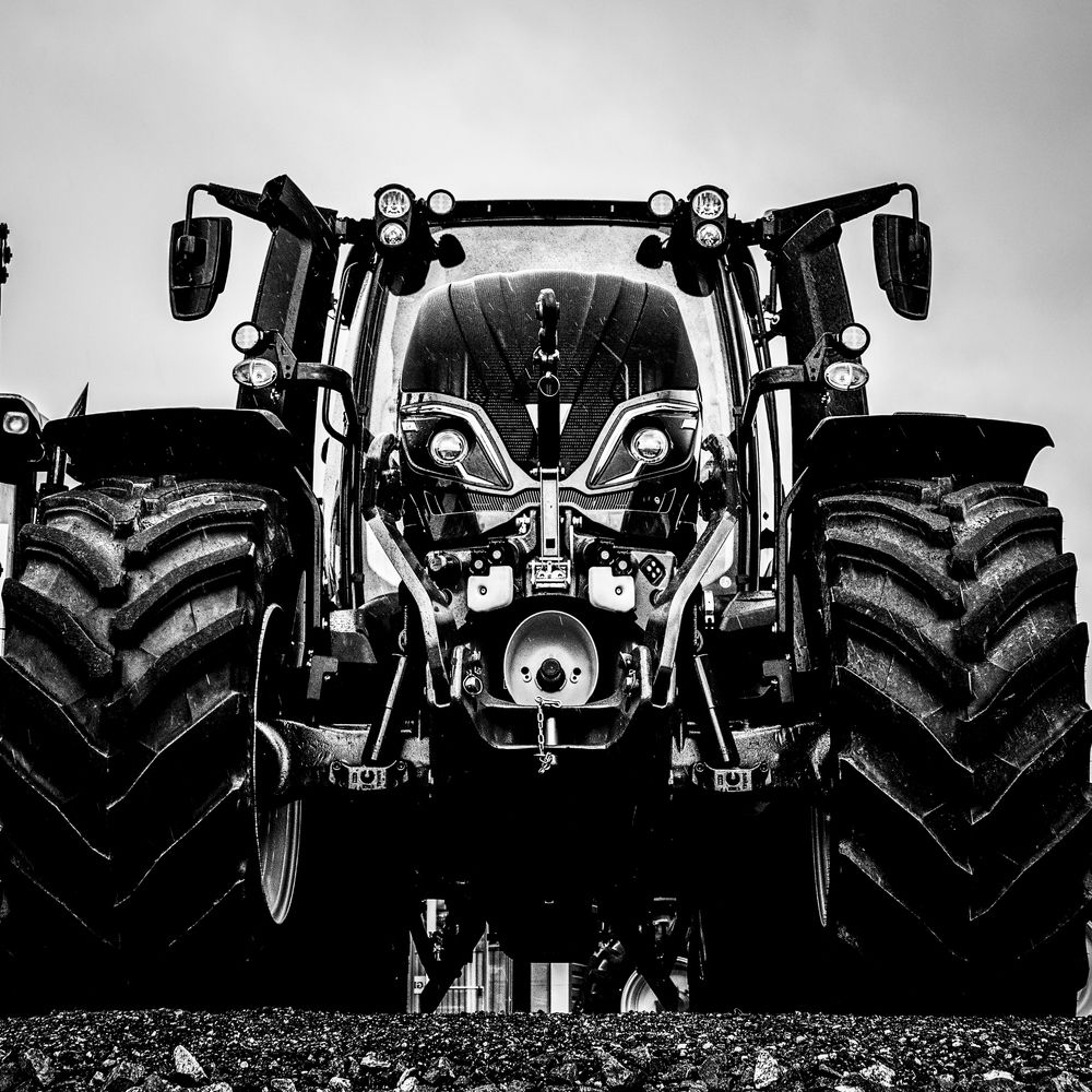 Photograph by Olga Bakke