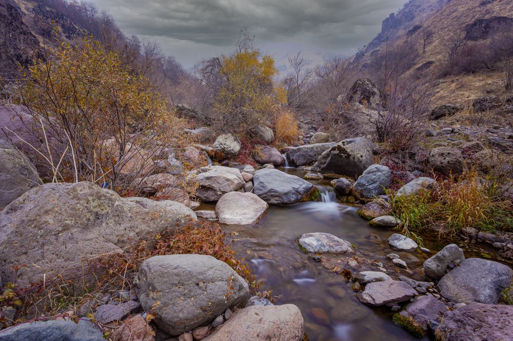 Photograph by Александр Коблов