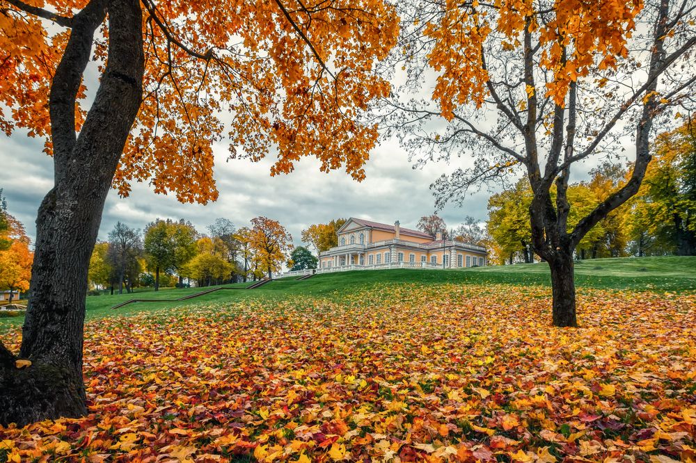 Photograph by Владимир Колесников