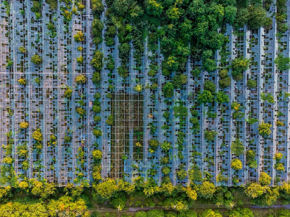 Фотография автора Bohdan