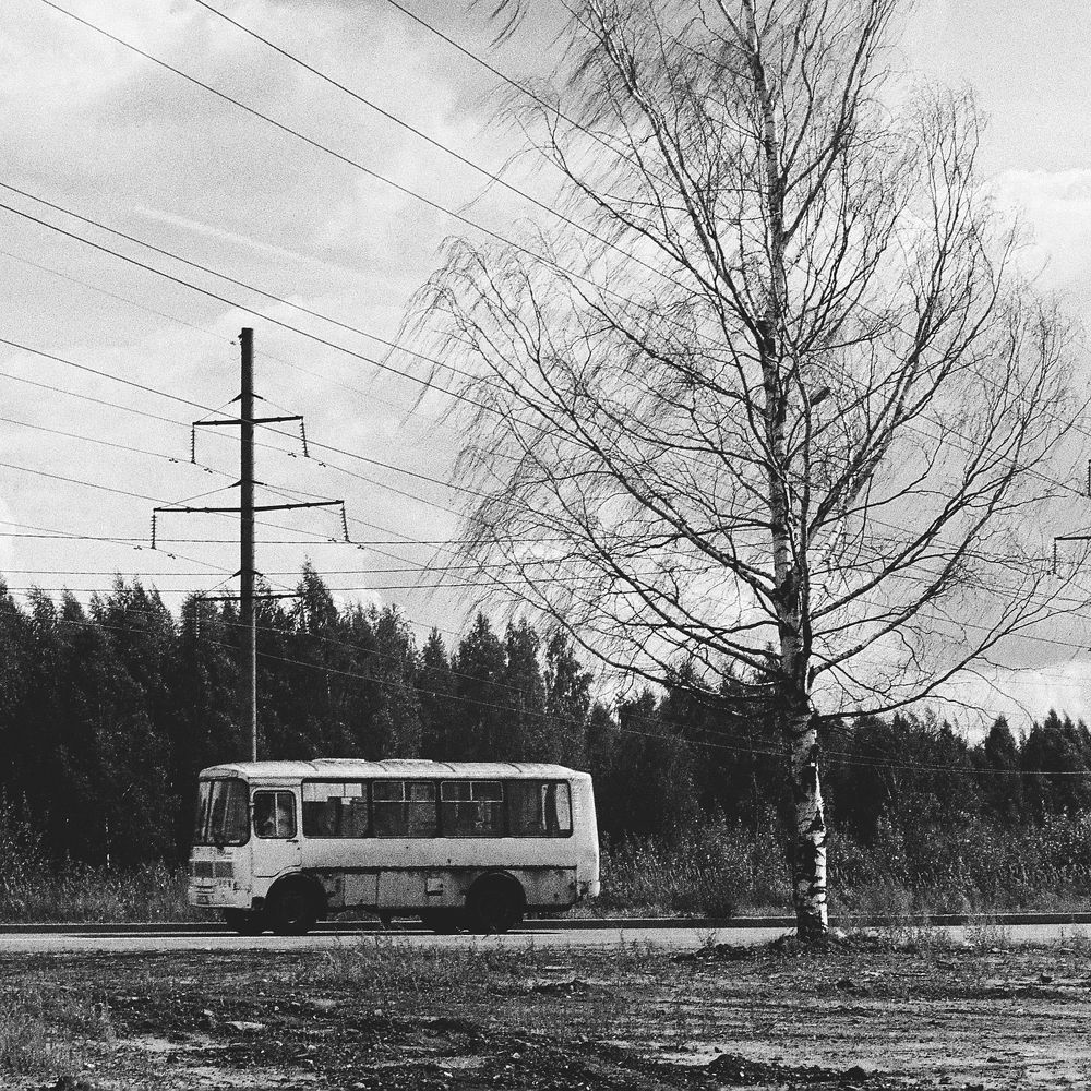 Photograph by Алигума Петонов