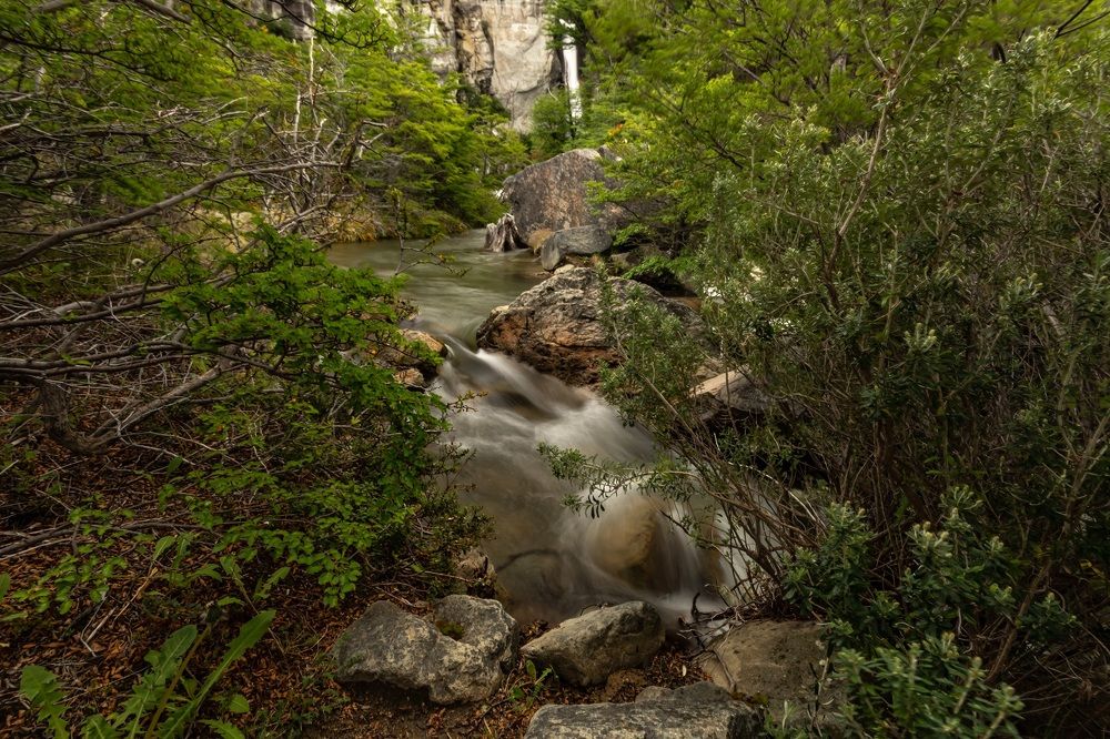 Photograph by jorge arnoten