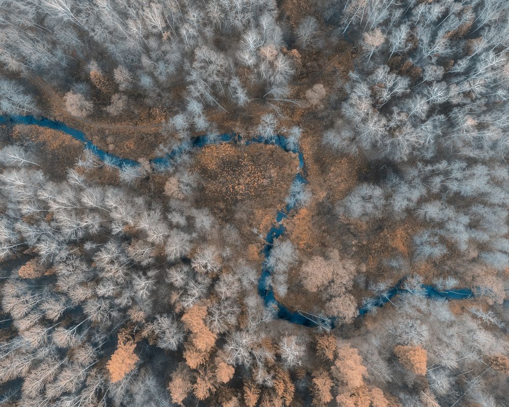 Фотография автора Мартыненко Дмитрий