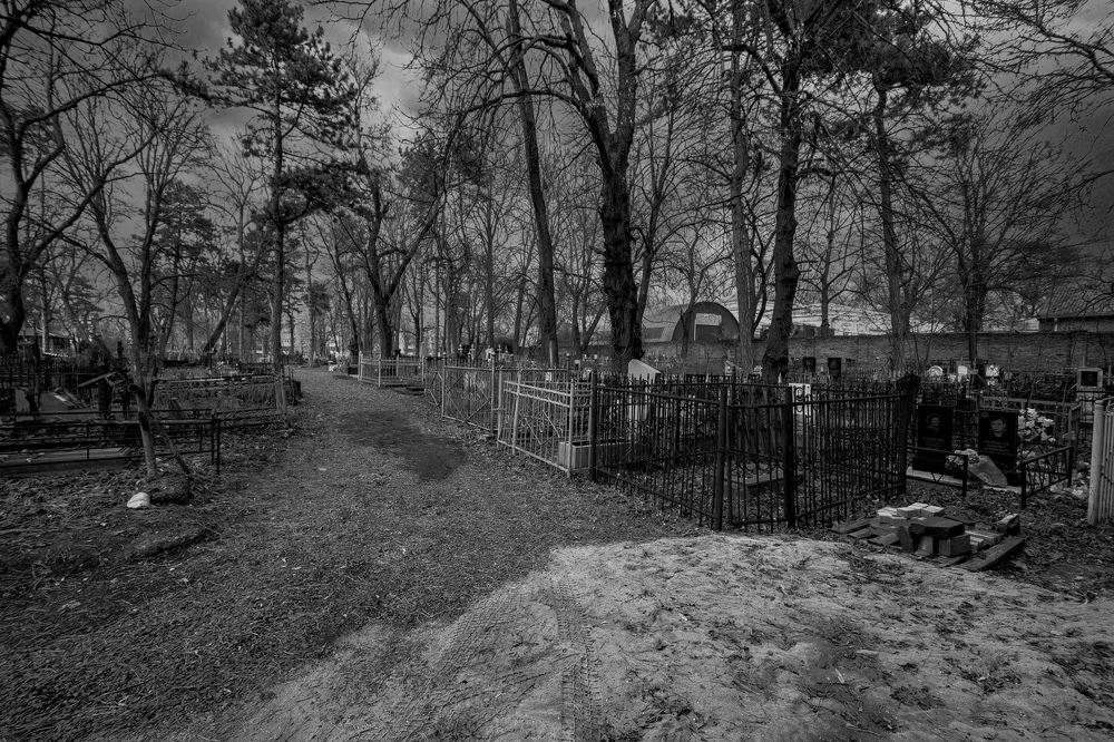 Photograph by Владимир Гамаюнов