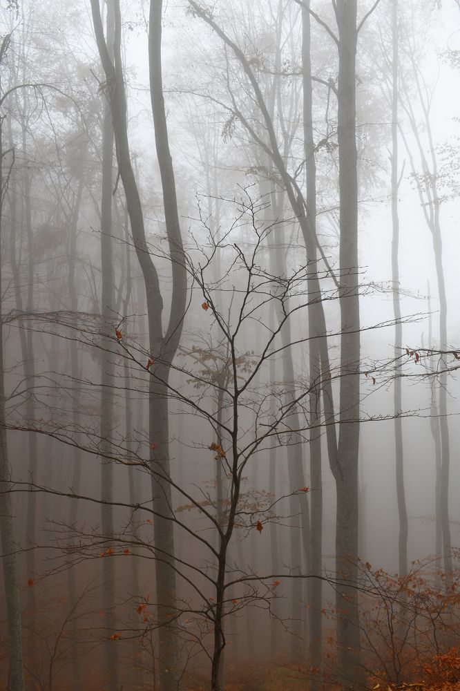 Photograph by ILIAS DIMITRIOU