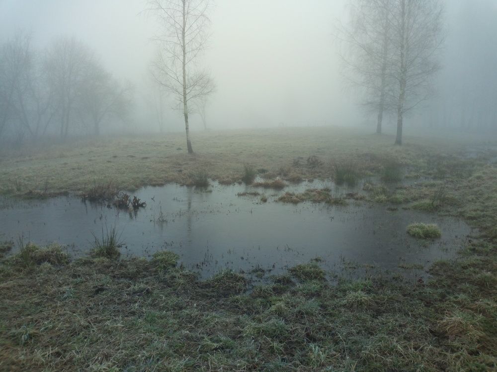 Photograph by Юлия