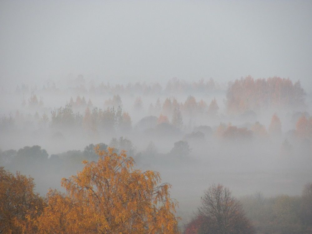 Photograph by Юлия