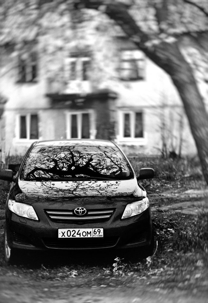 осенний блюз