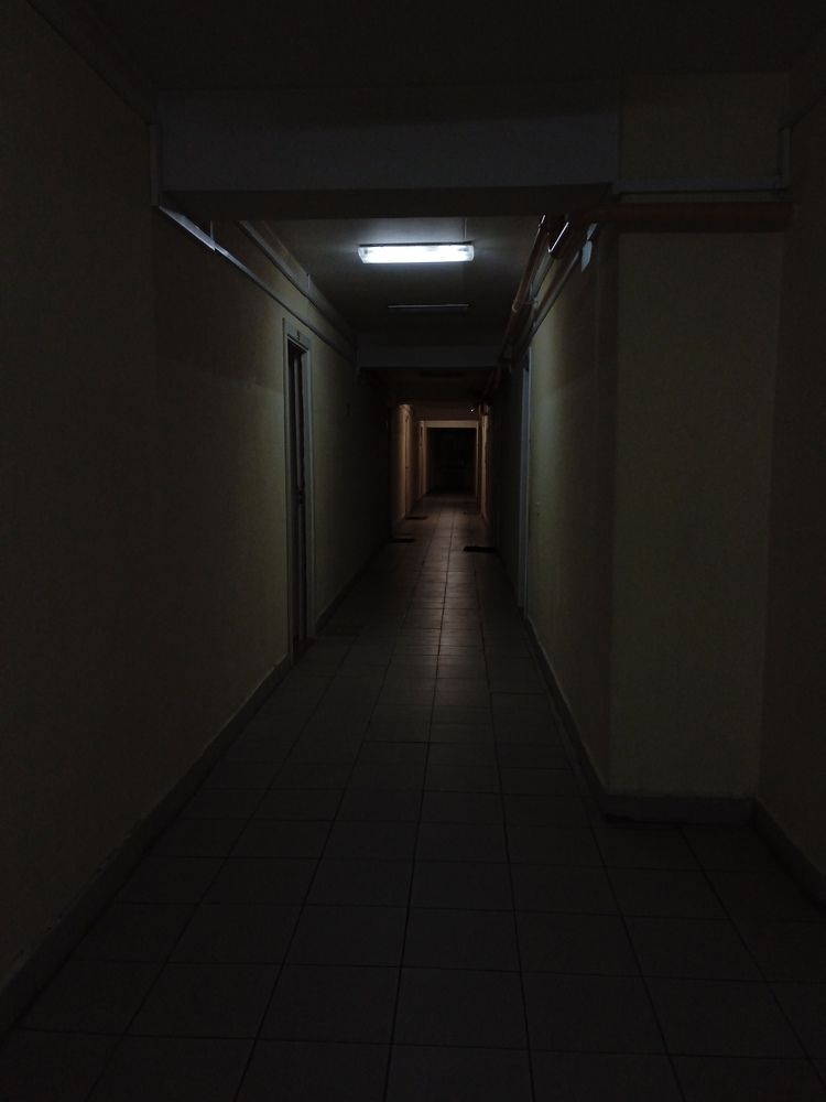 Photo #6777298