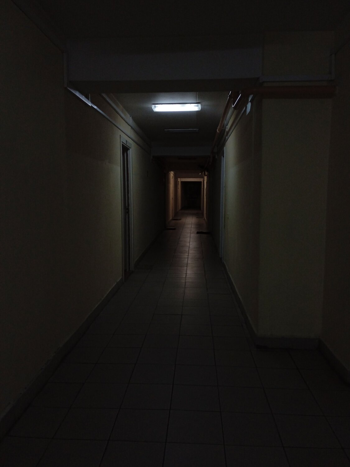 Photo #6777298