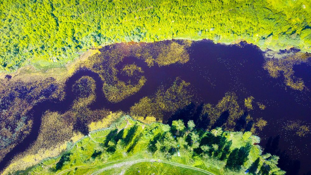 Photograph by Балакин Евгений