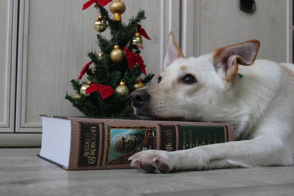 Photograph by Юлия