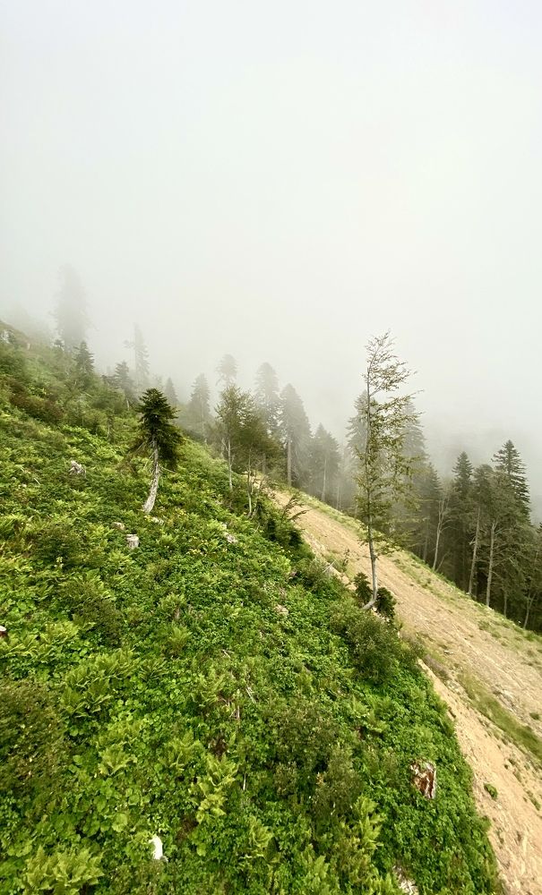 Photograph by Максим Воробьев