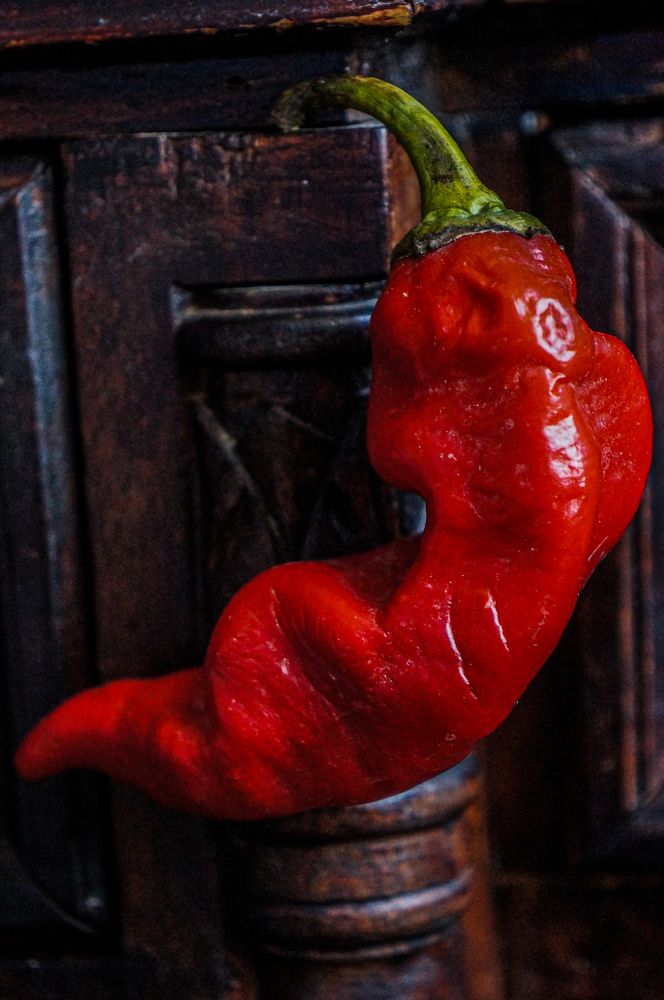 Photograph by Дарья Погонцева