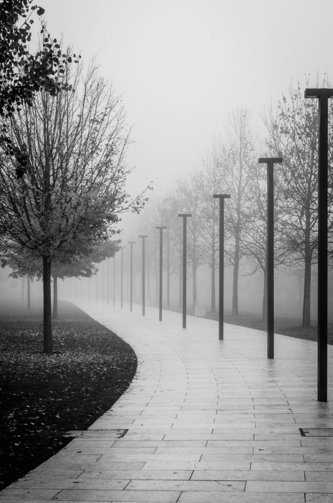 Photograph by Анастасия Кашенко