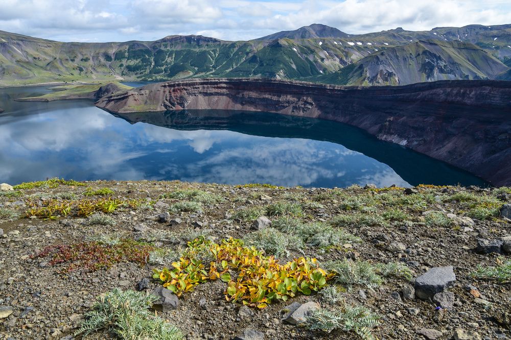 Photograph by Ольга Логвинец